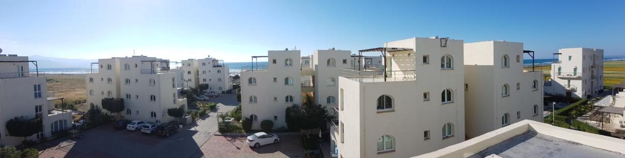Aphrodite Beachfront Penthouse Apartment Ghaziveran Exteriör bild