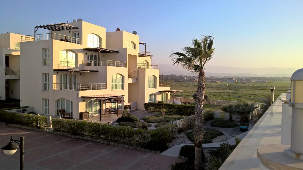 Aphrodite Beachfront Penthouse Apartment Ghaziveran Exteriör bild