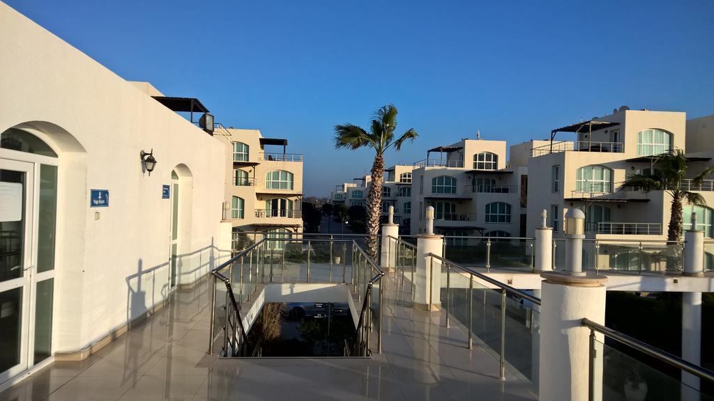 Aphrodite Beachfront Penthouse Apartment Ghaziveran Exteriör bild