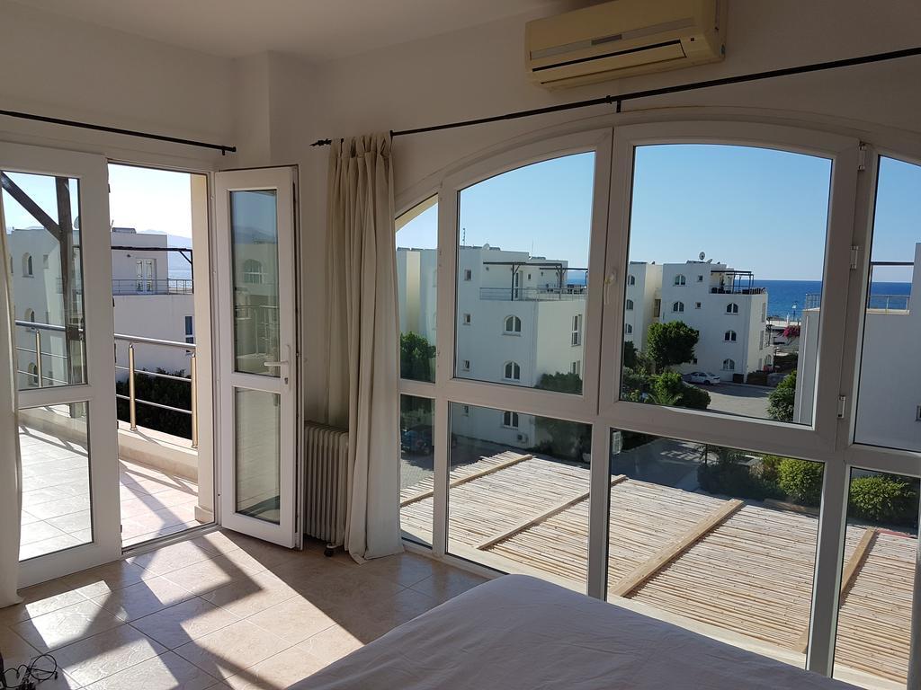 Aphrodite Beachfront Penthouse Apartment Ghaziveran Exteriör bild