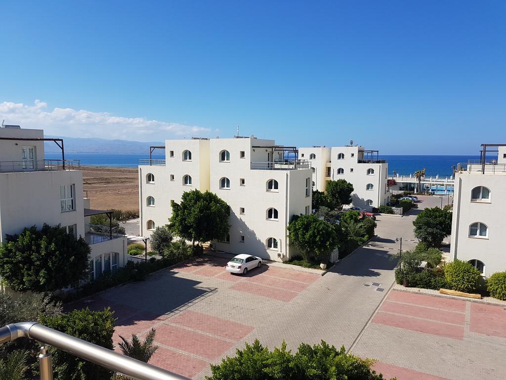 Aphrodite Beachfront Penthouse Apartment Ghaziveran Exteriör bild