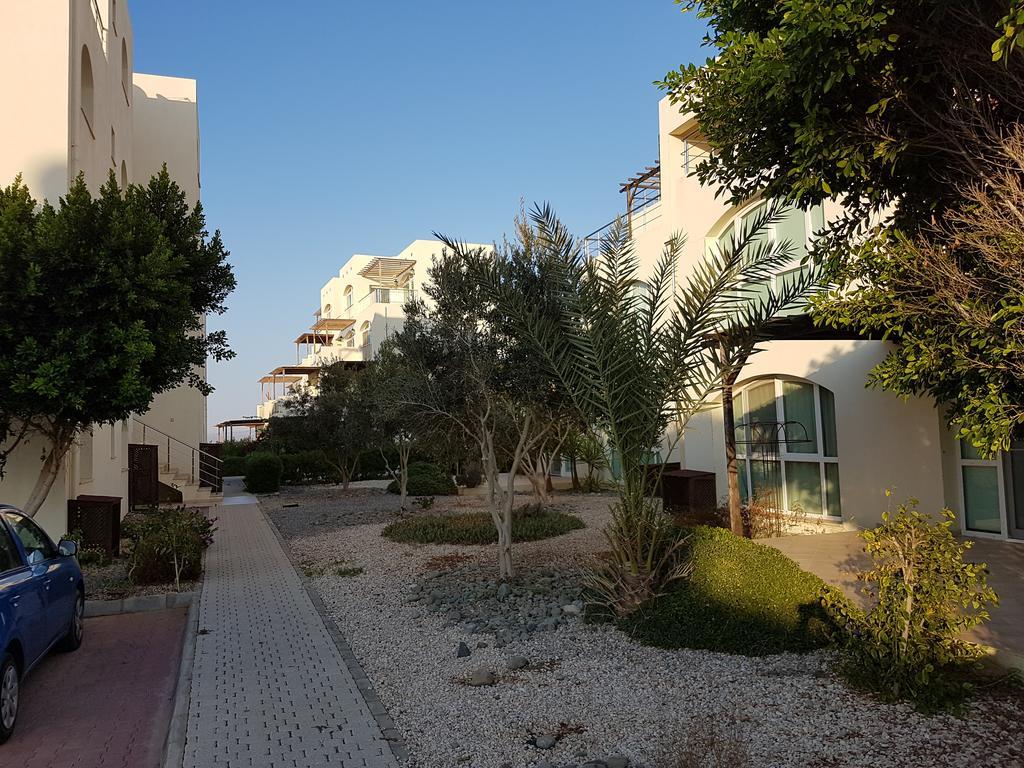 Aphrodite Beachfront Penthouse Apartment Ghaziveran Exteriör bild